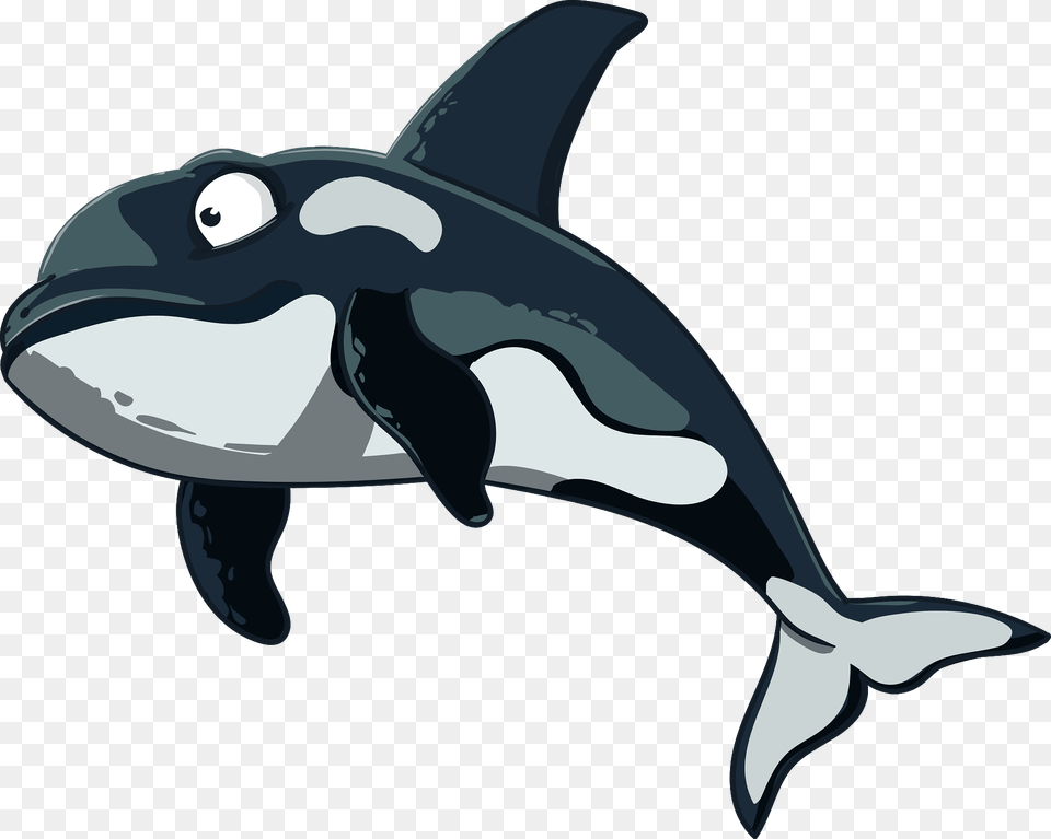 Cartoon Orca Clipart, Animal, Sea Life, Mammal, Whale Free Transparent Png