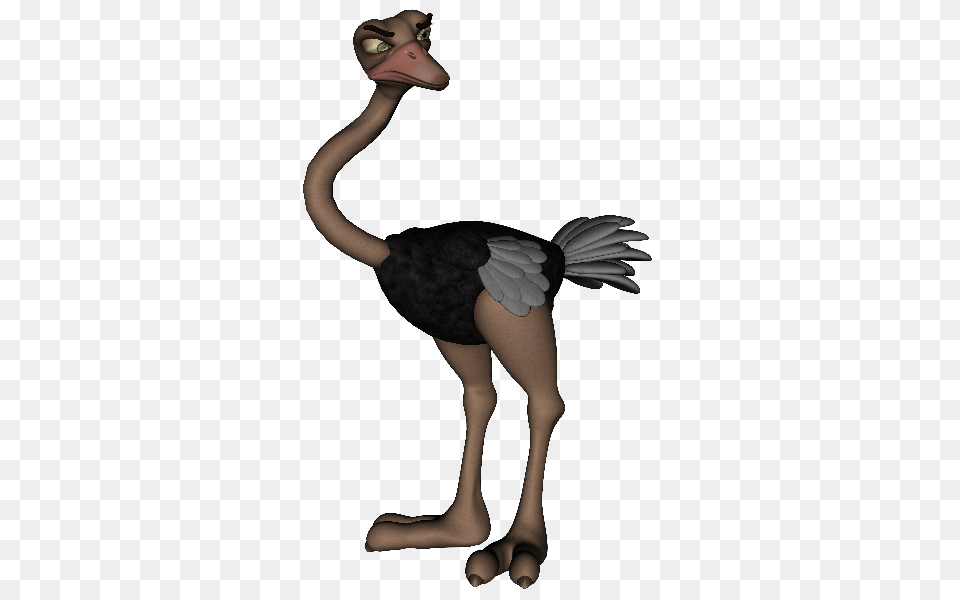 Cartoon Ostrich Clipart, Animal, Bird, Adult, Female Png Image