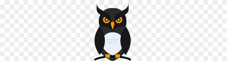 Cartoon Owl Clipart, Animal, Bird, Penguin, Beak Free Png