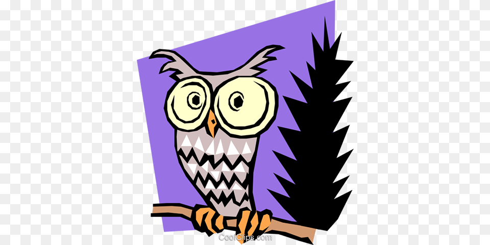 Cartoon Owl Royalty Vector Clip Art Illustration, Baby, Person, Animal, Bird Free Png Download