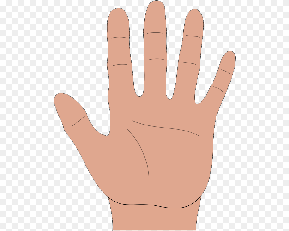 Cartoon Palm Of Hand, Body Part, Clothing, Finger, Glove Png Image