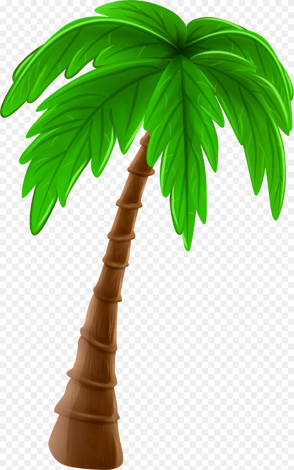 Cartoon Palm Tree Png Image