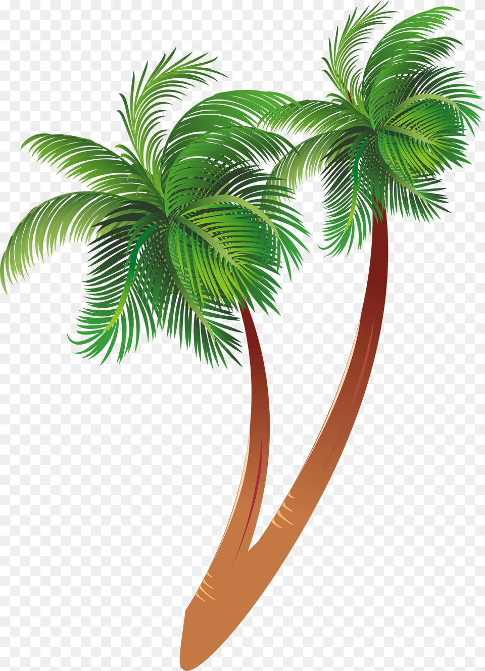 Cartoon Palm Tree Clipart Coconut Palm Background Palm Tree Clipart Free Transparent Png