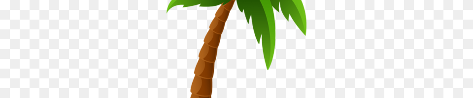 Cartoon Palm Tree Image, Palm Tree, Plant, Leaf, Person Free Transparent Png