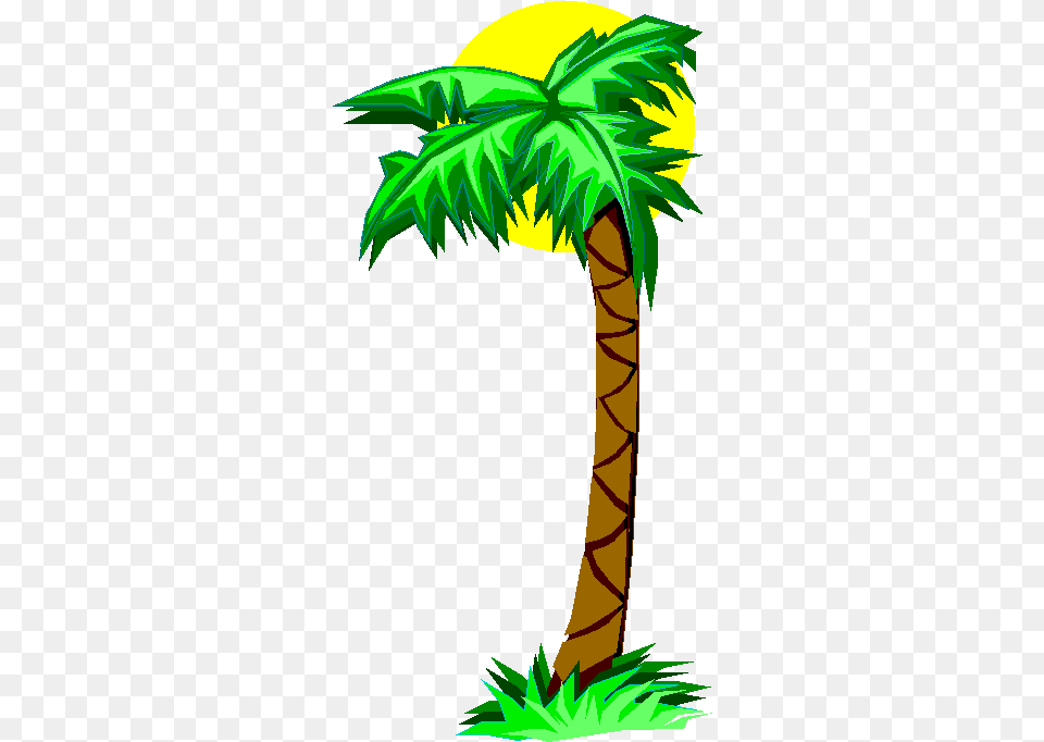 Cartoon Palm Tree Palm Tree Clip Art, Palm Tree, Plant, Vegetation, Adult Png Image