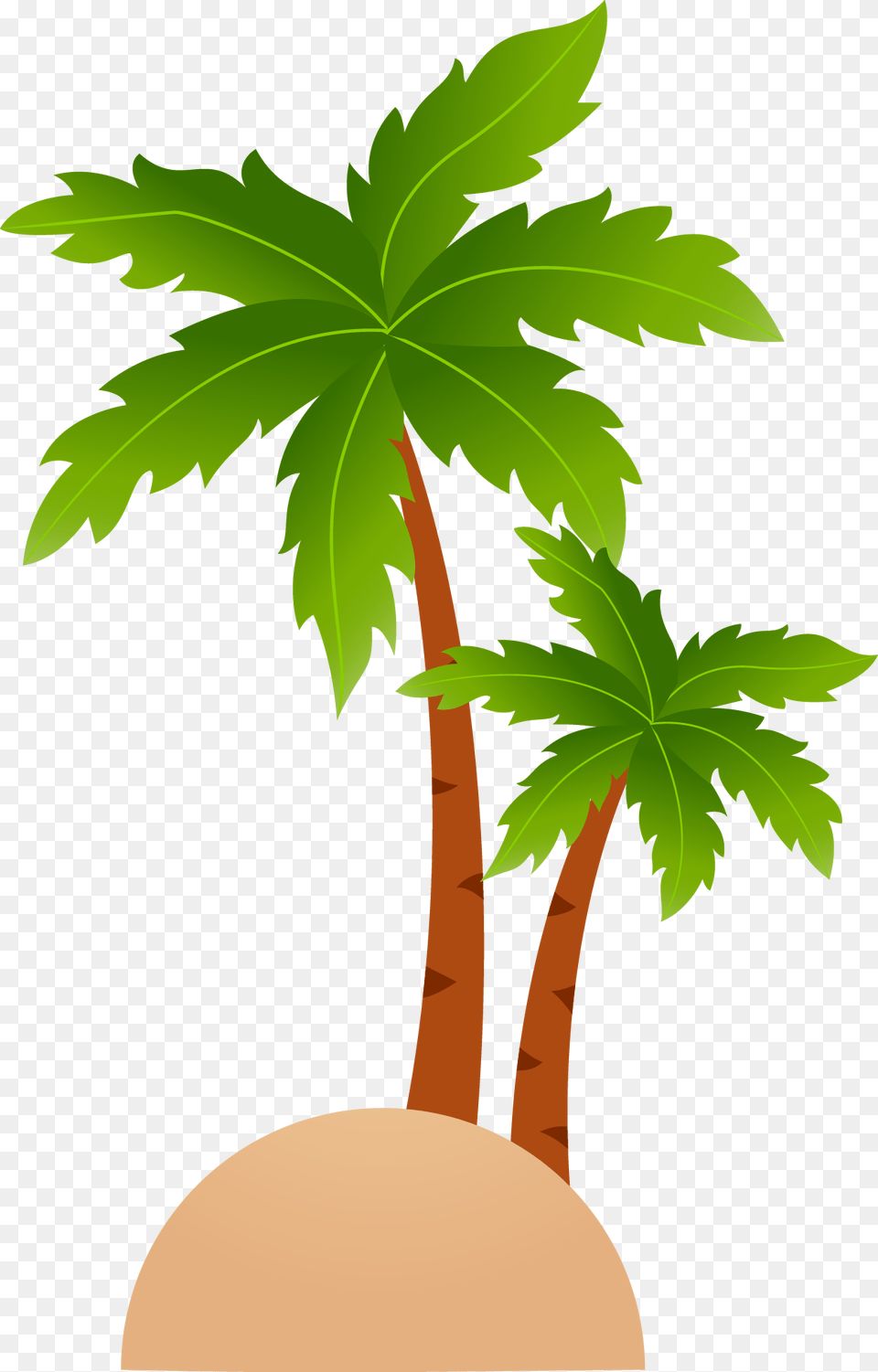 Cartoon Palm Tree Vector, Leaf, Palm Tree, Plant, Food Free Png