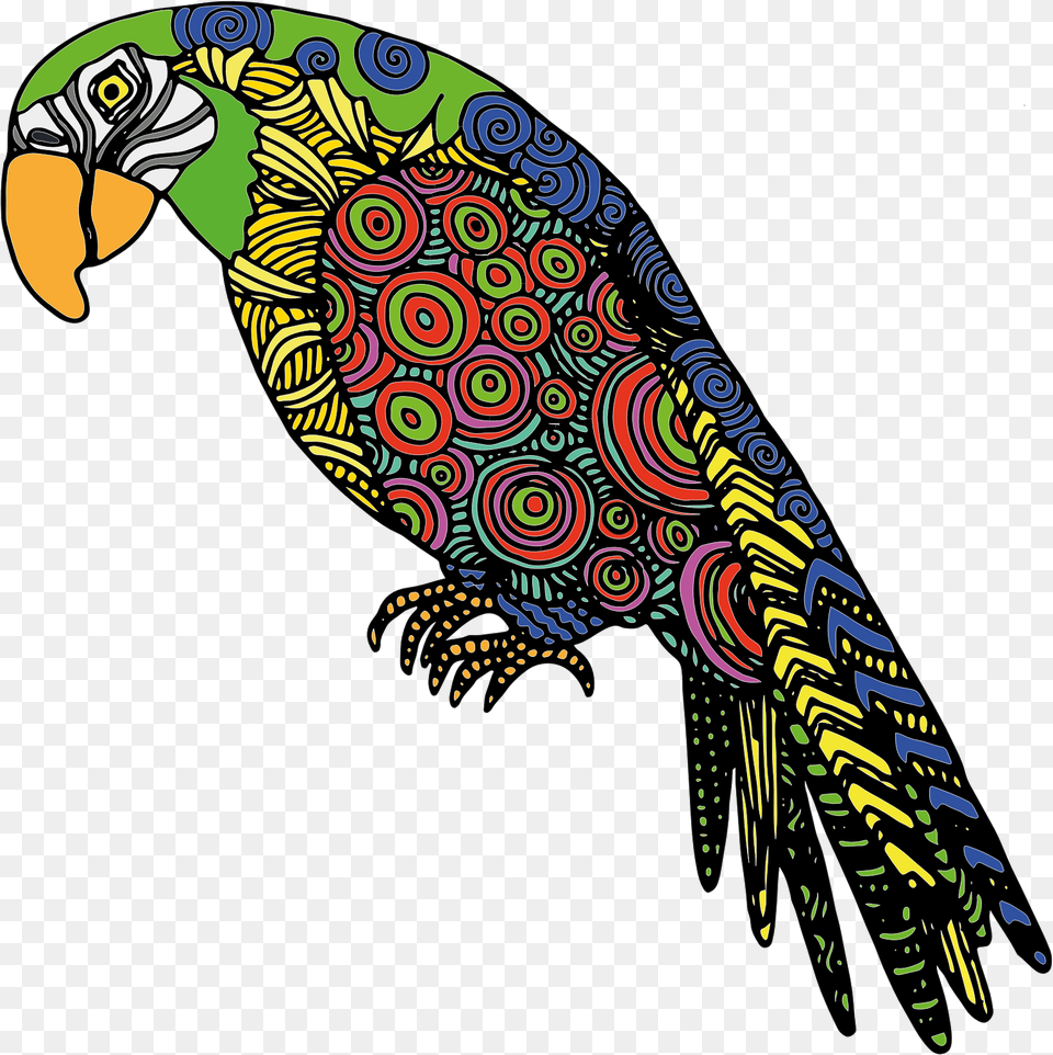 Cartoon Parrot Drawing Color, Animal, Bird Png Image