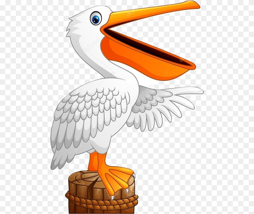 Cartoon Pelican Download Pelican Eating Fish Clip Art, Animal, Bird, Waterfowl, Beak Png