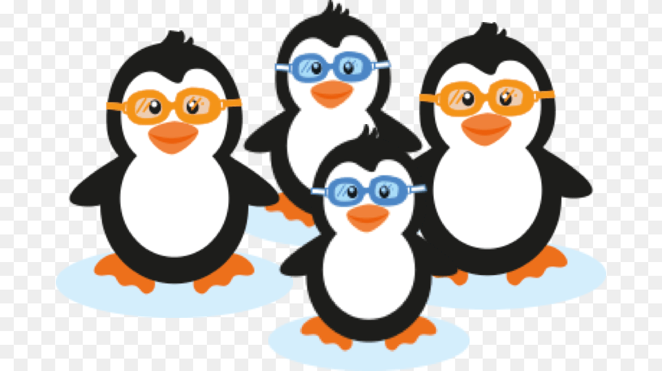 Cartoon Penguins, Animal, Bird, Penguin, Face Free Png