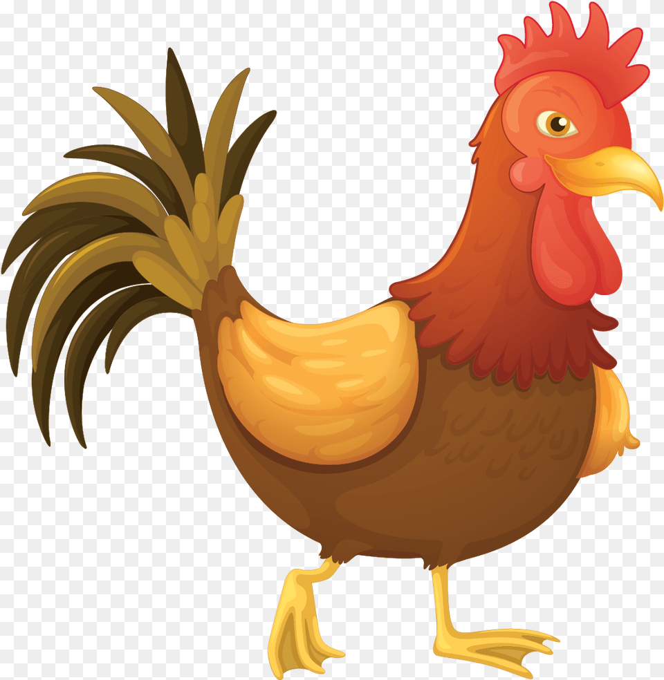 Cartoon Pics Of Cock, Animal, Bird, Chicken, Fowl Png