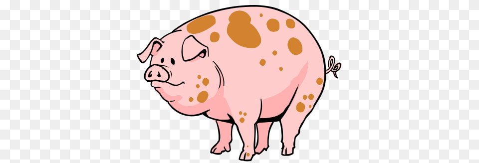 Cartoon Pics Of Pigs Group With Items, Animal, Hog, Mammal, Pig Free Transparent Png