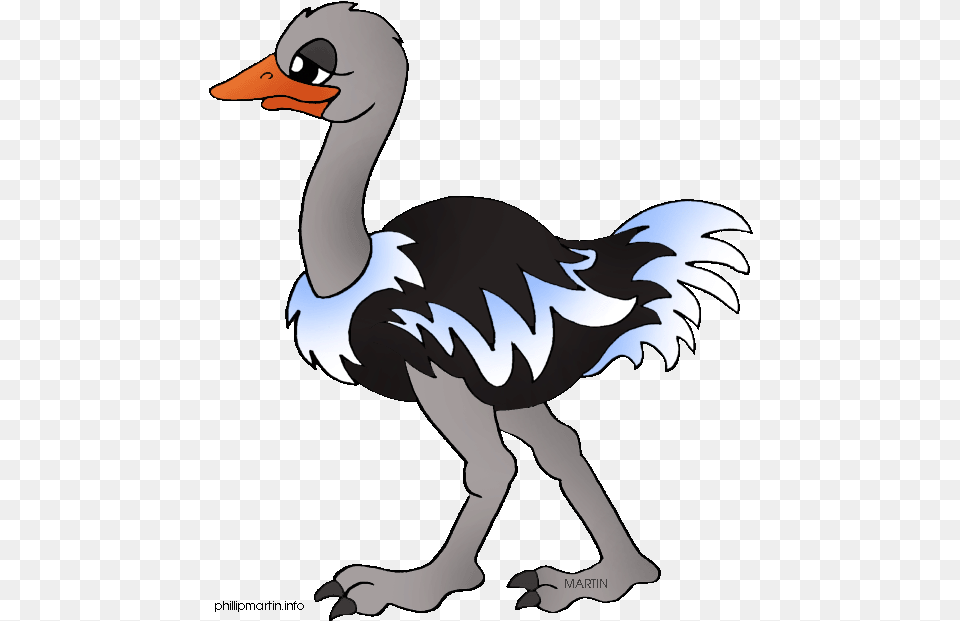 Cartoon Picture Of Ostrich Ostrich Sentence In English, Animal, Beak, Bird, Adult Png