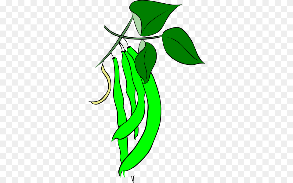 Cartoon Pictures Of Green Beans, Bean, Food, Plant, Produce Png Image