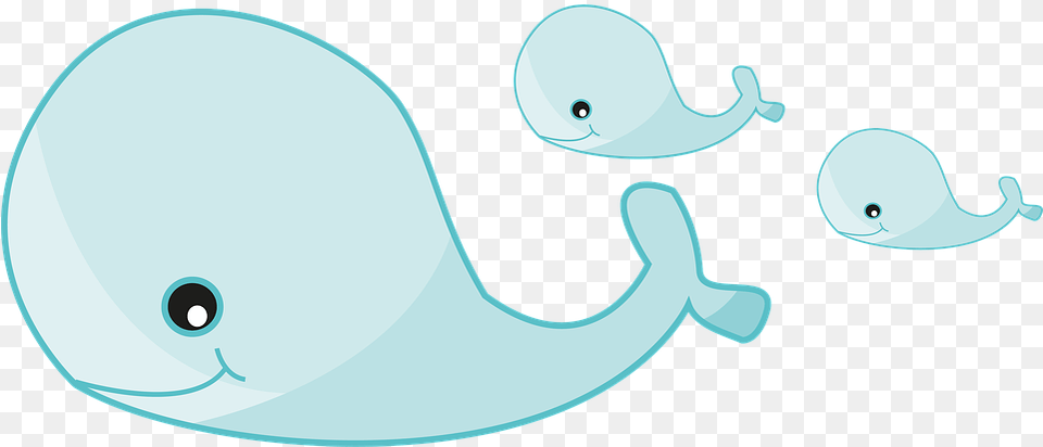 Cartoon Pictures Of Whales Cartoon, Animal, Beluga Whale, Mammal, Sea Life Png
