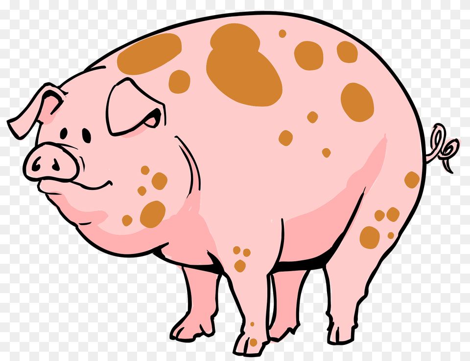 Cartoon Pig Clipart, Animal, Hog, Mammal, Baby Png