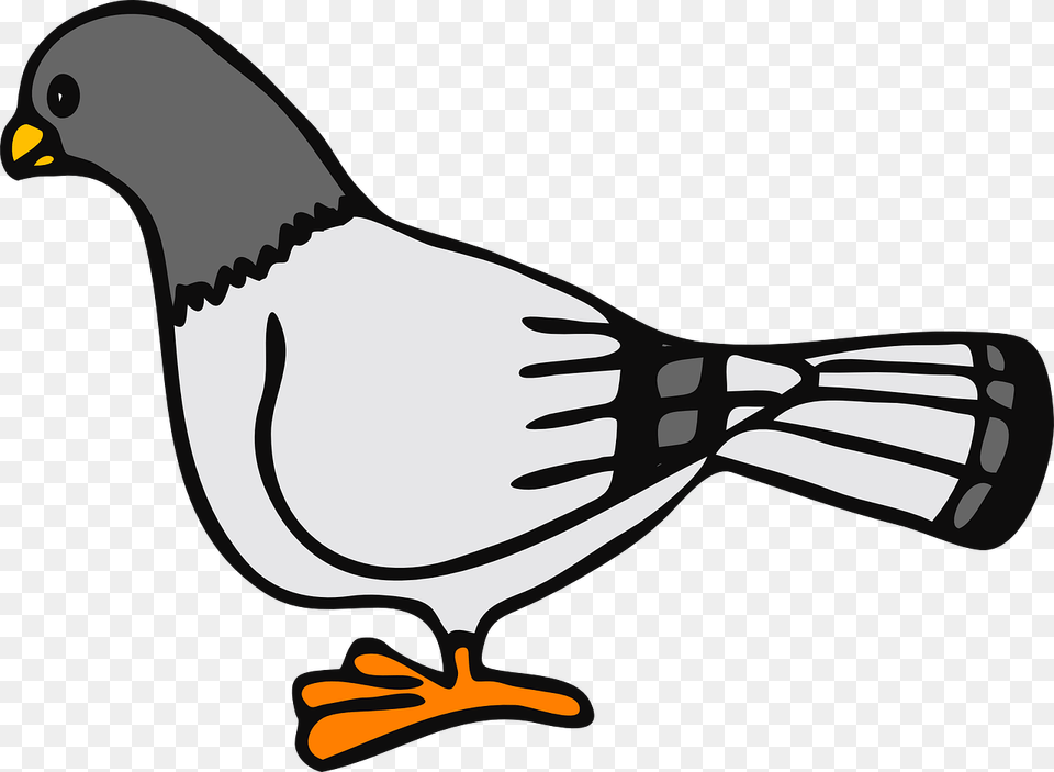 Cartoon Pigeon Clipart, Animal, Bird, Jay, Fish Free Transparent Png