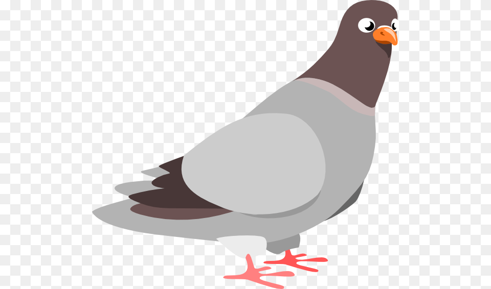 Cartoon Pigeon Venice Cartoon And Clip Art, Animal, Bird, Dove Free Png