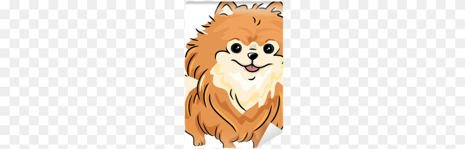 Cartoon Pomeranian On Transparent Backgrounds, Baby, Person, Face, Head Png Image