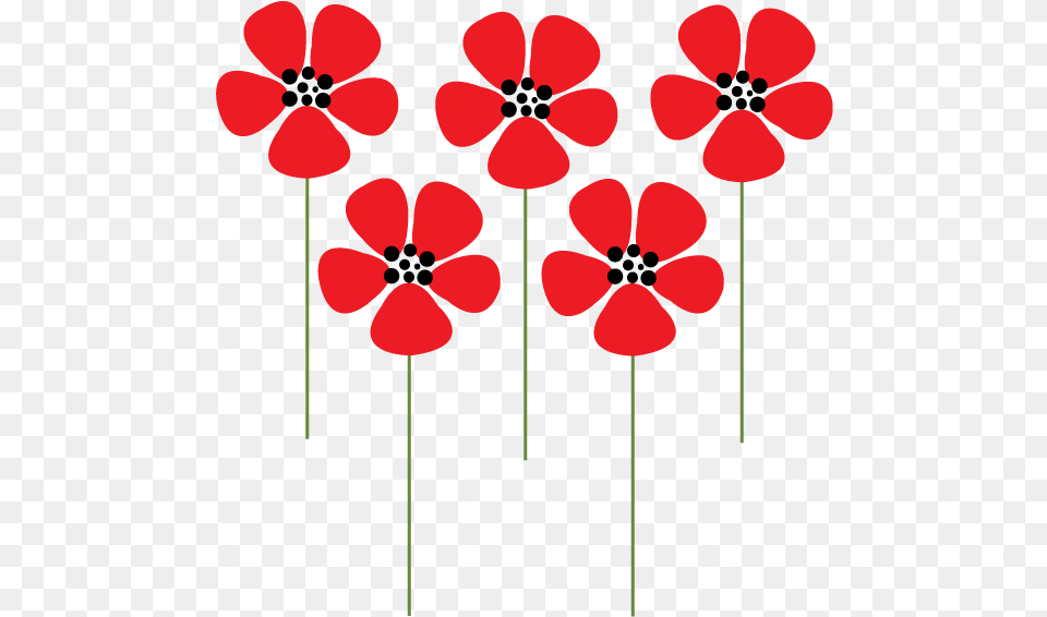 Cartoon Poppy Flower, Petal, Plant, Geranium, Pattern Png
