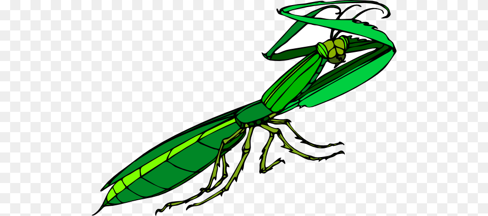 Cartoon Praying Mantis Clip Arts For Web, Animal, Bee, Insect, Invertebrate Free Png