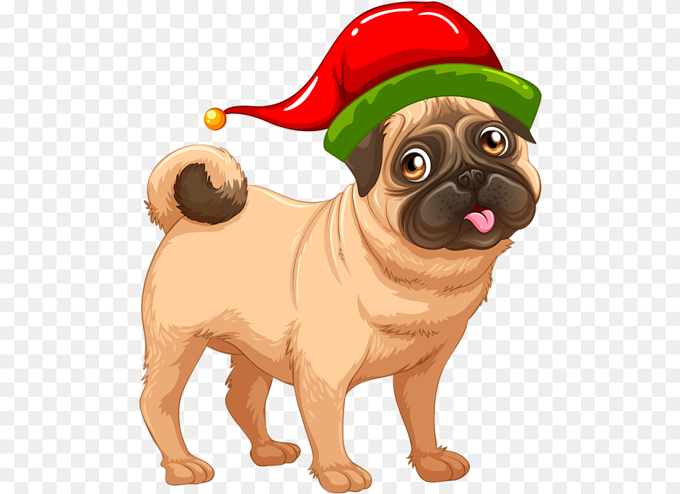 Cartoon Pug Transparent Background, Animal, Canine, Mammal, Dog Png Image