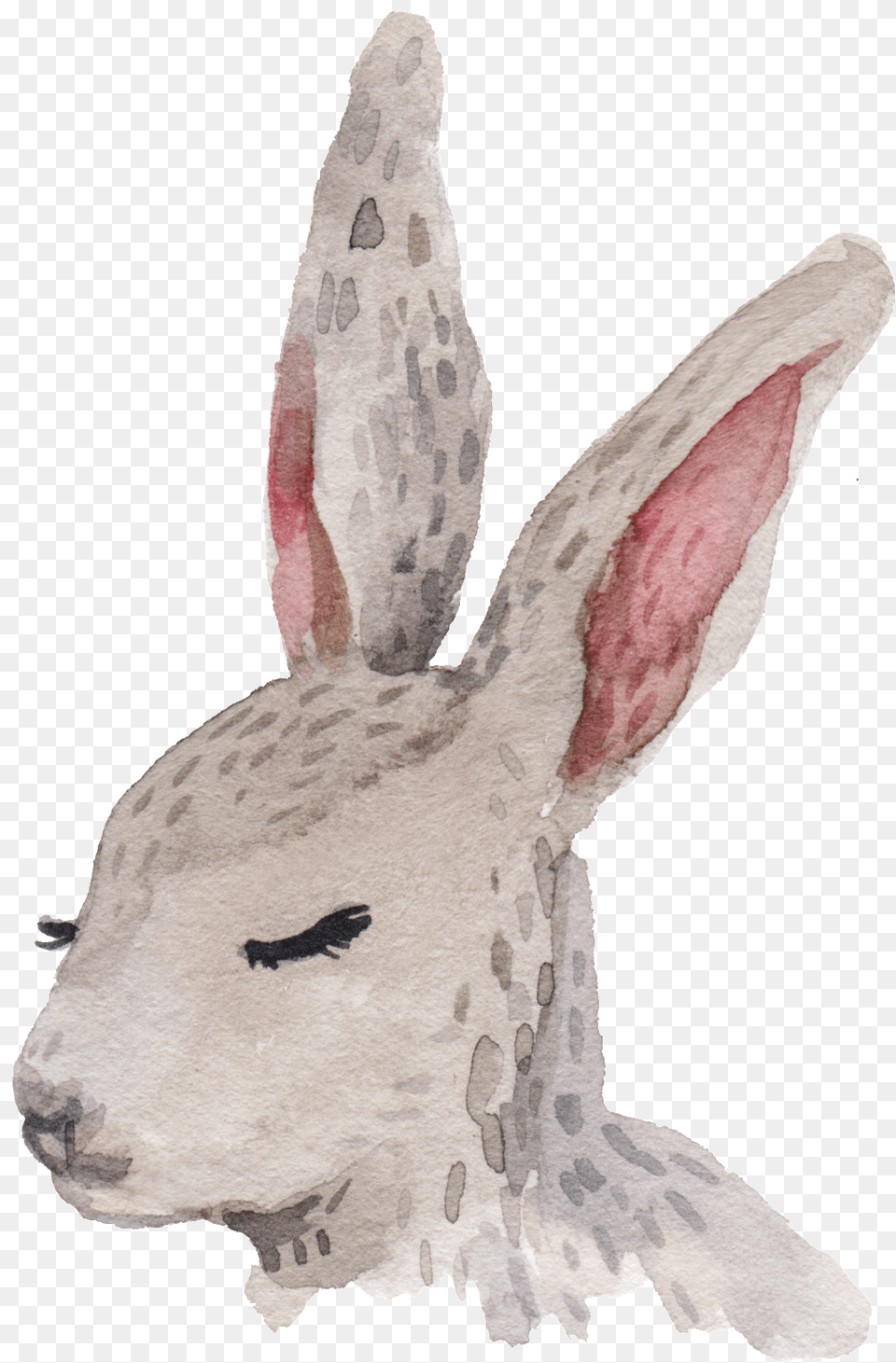 Cartoon Rabbit Rabbit, Animal, Mammal, Bird Png Image