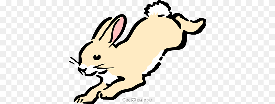 Cartoon Rabbit Royalty Vector Clip Art Illustration, Animal, Mammal, Kangaroo Free Png Download