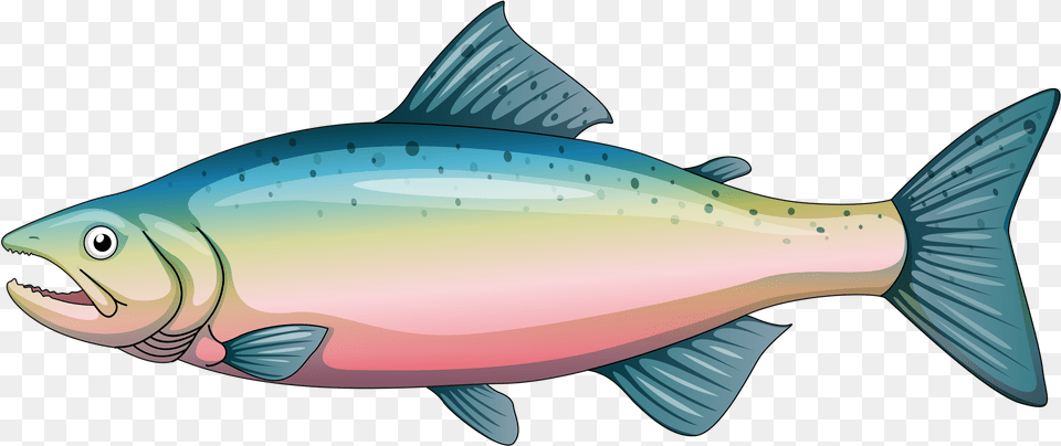 Cartoon Rainbow Trout Clipart Clipart Trout, Animal, Coho, Fish, Sea Life Free Transparent Png