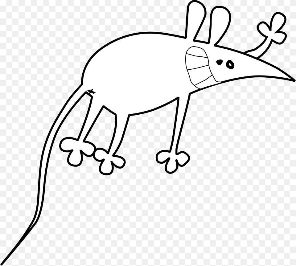 Cartoon Rat Clipart, Animal, Wildlife, Mammal, Kangaroo Png Image