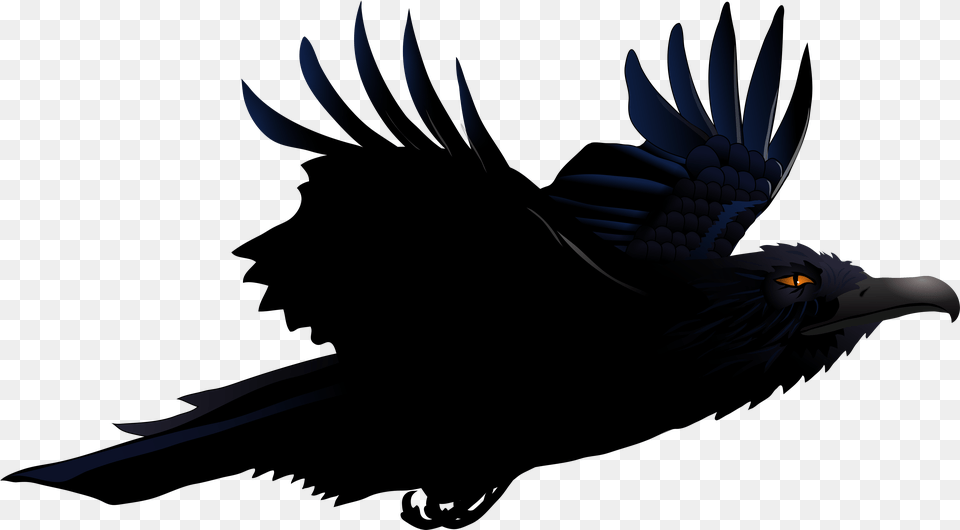 Cartoon Raven, Animal, Bird, Vulture, Blackbird Free Png Download