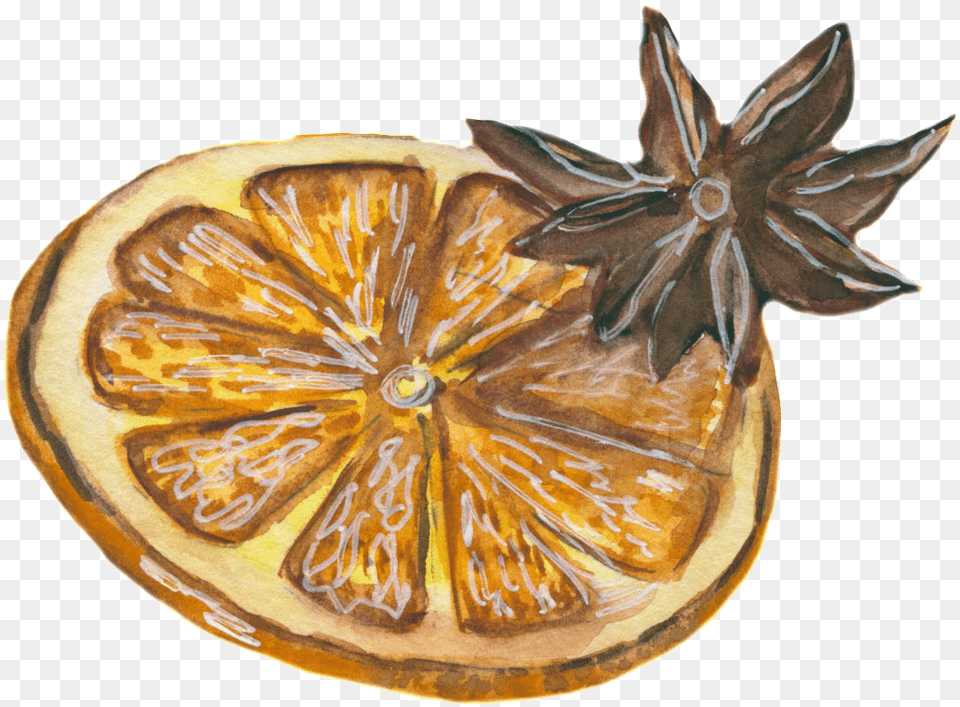 Cartoon Realistic Lemon Slice Rangpur, Citrus Fruit, Food, Fruit, Plant Free Png Download