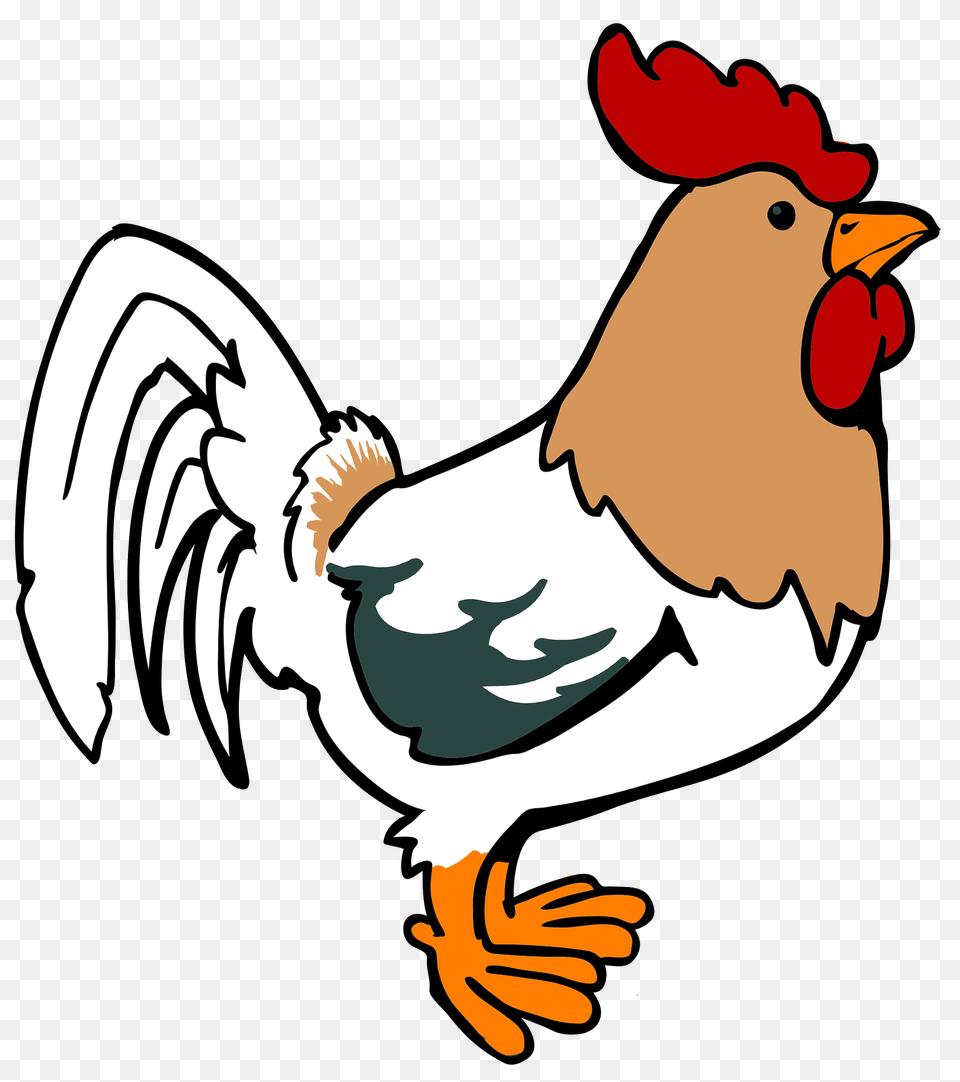 Cartoon Rooster Clipart, Animal, Bird, Fowl, Poultry Png