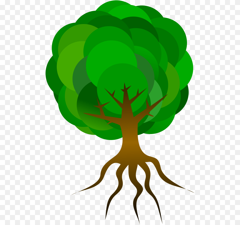 Cartoon Roots Of A Tree, Green, Plant, Root Png