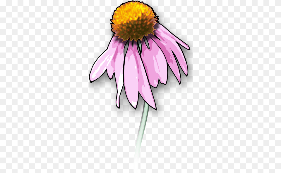 Cartoon Rose Dead Flower Clipart Hd Download Dead Flower Clipart, Anther, Daisy, Petal, Plant Free Png