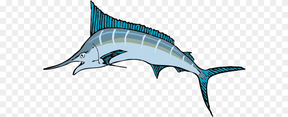 Cartoon Sailfish Sailfish Clipart, Animal, Sea Life, Fish, Swordfish Png Image