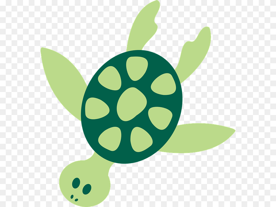 Cartoon Sea Animals Transparent Cartoon Sea Animals, Animal, Reptile, Sea Life, Tortoise Free Png Download