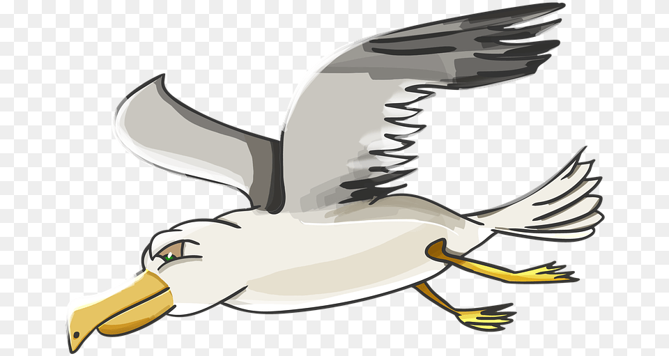 Cartoon Seagull, Animal, Beak, Bird, Waterfowl Free Png