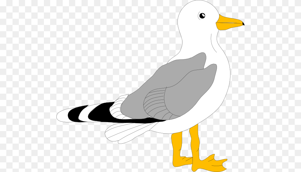 Cartoon Seagull Clip Art, Animal, Bird, Waterfowl Png Image