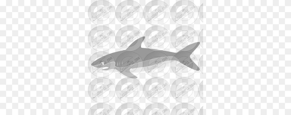 Cartoon Shark Clipart Shark Outline And Shark Clip Art, Disk Free Png Download
