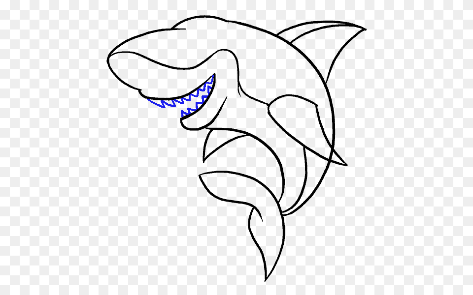 Cartoon Shark Clipart, Animal, Sea Life Free Png Download