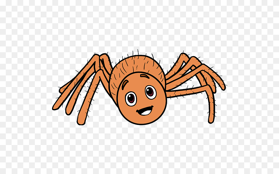 Cartoon Spider Images Group With Items Png Image