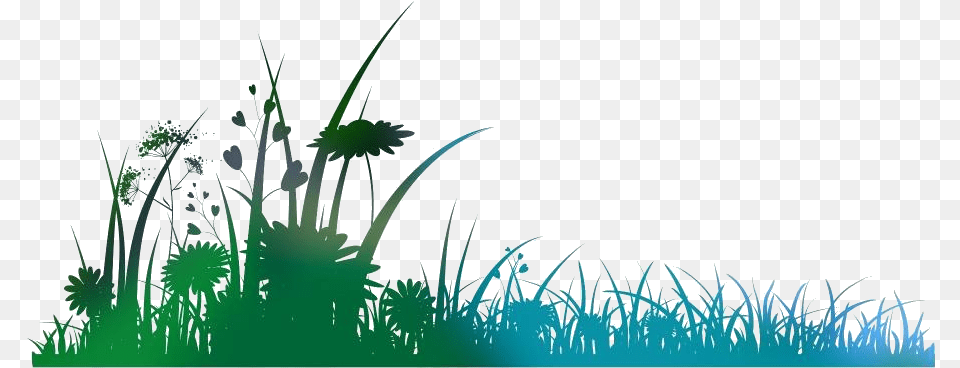 Cartoon Spring Flowers Transparent Images Silhouette, Plant, Grass, Green, Nature Png Image