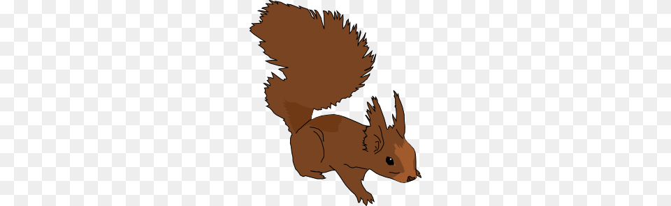 Cartoon Squirrel Clip Art, Animal, Baby, Mammal, Person Free Png