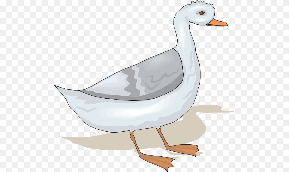 Cartoon Standing Clip Art At Clker Com Goose Cartoon, Animal, Anseriformes, Bird, Waterfowl Free Transparent Png