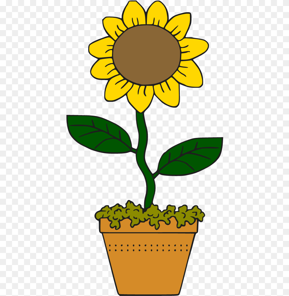 Cartoon Sunflower Cliparts Cartoon Sunflower In A Pot, Flower, Plant, Potted Plant, Daisy Free Transparent Png