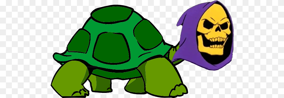Cartoon Tortoise With Transparent Background, Animal, Reptile, Sea Life, Turtle Free Png Download