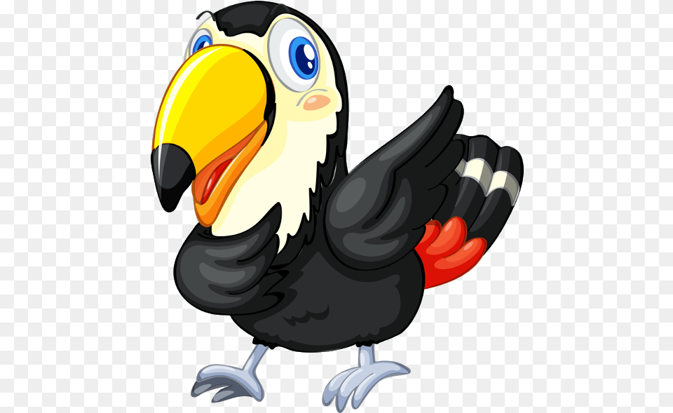 Cartoon Toucan Clear Background, Animal, Beak, Bird, Baby Png Image