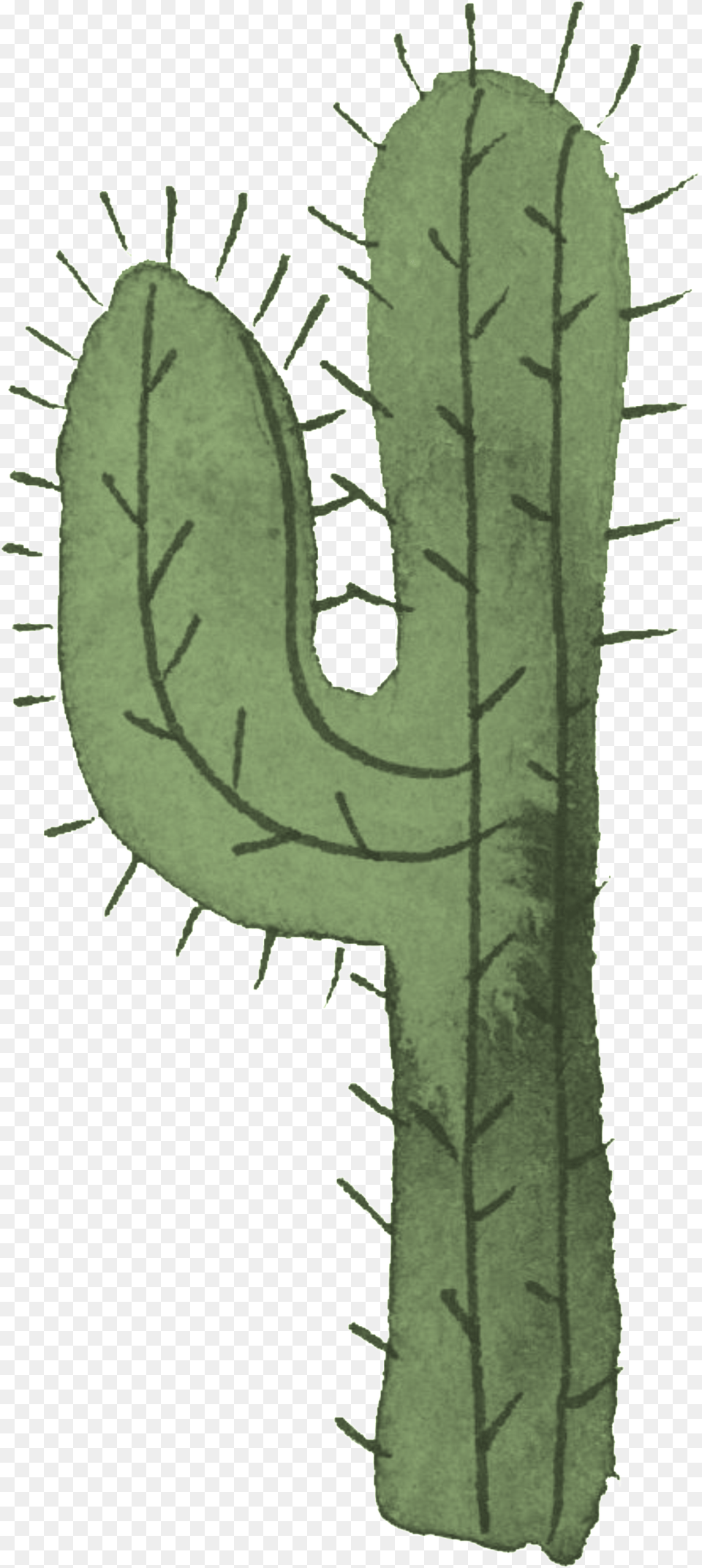 Cartoon Transparent For The Desert Cactus Cactus, Plant Png Image