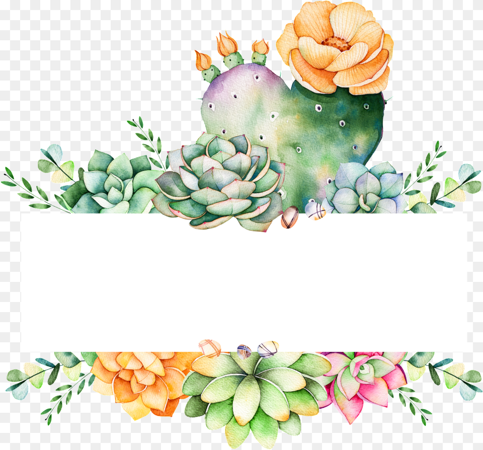 Cartoon Download Files Succulent Logo Design Plant, Art, Floral Design, Graphics Free Transparent Png