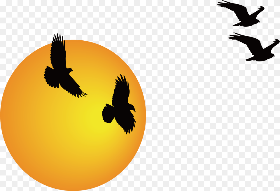 Cartoon Transparent Sunrise Image Happy Birthday Marathi, Animal, Bird, Flying, Nature Free Png Download